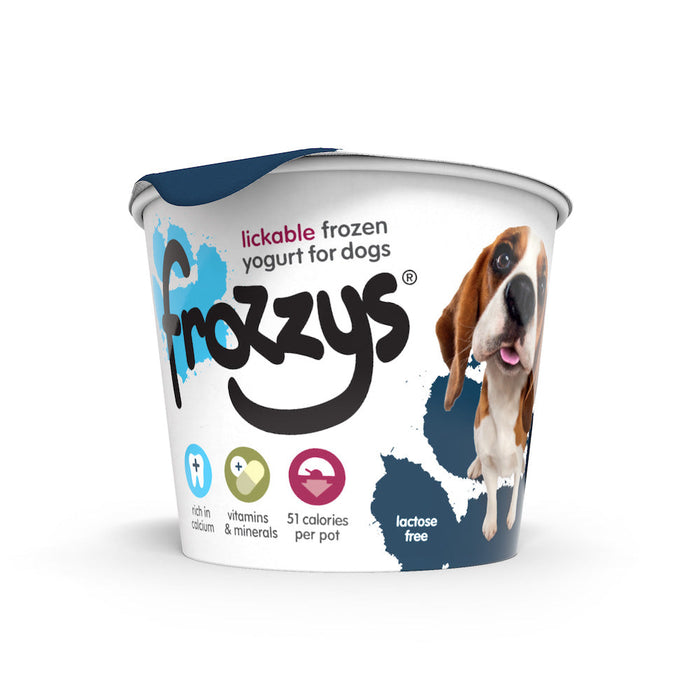 Frozzy's Frozen Yoghurt Blueberry 4pk