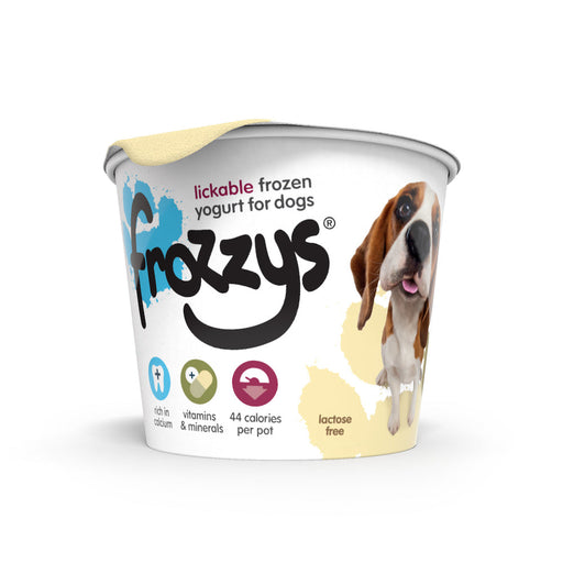 Frozzy's Frozen Yogurt Original 4pk  
