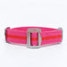 All-Terrain Collar Fuschia