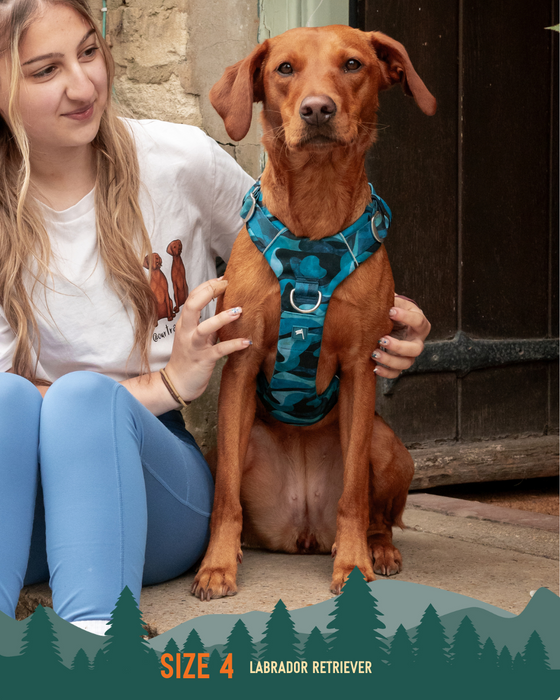 Twiggy Tags Adventure Harness 2.0 Lagoon