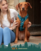 Twiggy Tags Adventure Harness 2.0 Lagoon