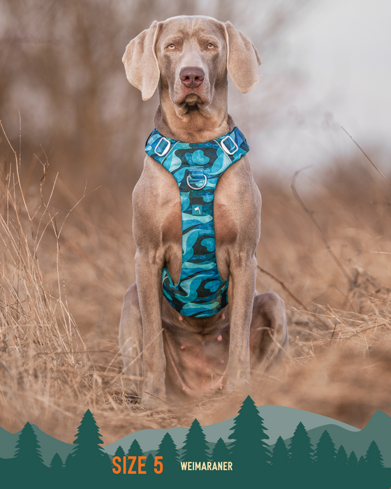 Twiggy Tags Adventure Harness 2.0 Lagoon