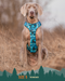 Twiggy Tags Adventure Harness 2.0 Lagoon