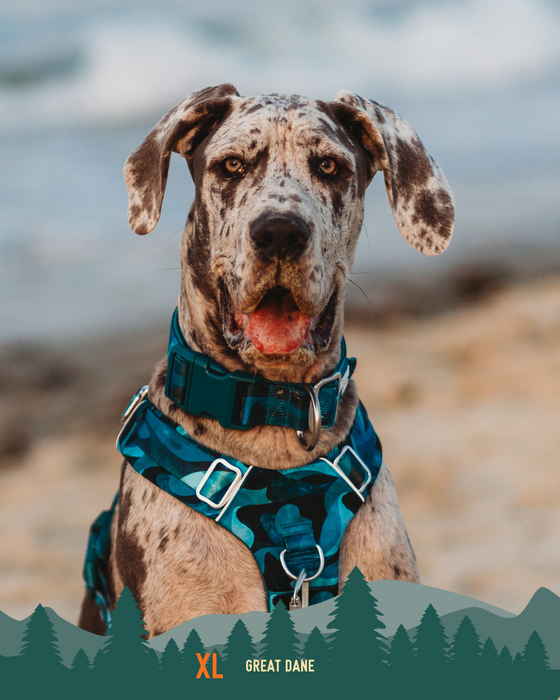 Twiggy Tags Adventure Collar 2.0 Lagoon