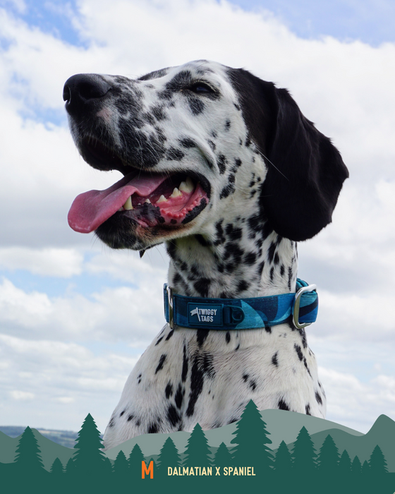 Twiggy Tags Adventure Collar 2.0 Lagoon