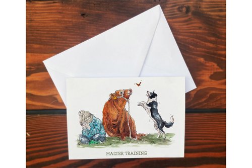 Kate Simpson Halter Training Card