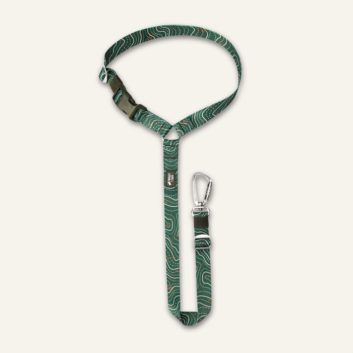 Twiggy Tags Headrest Seatbelt Nomad