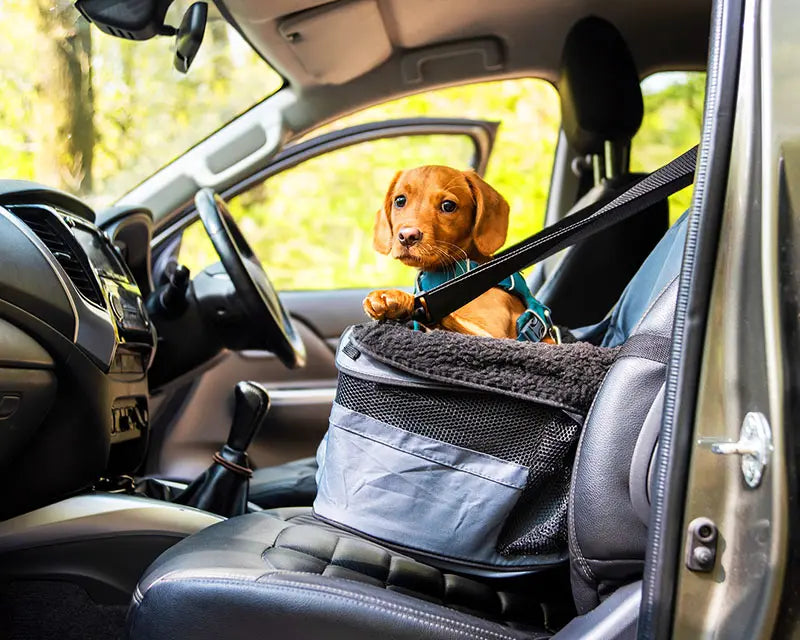 Henry Wag Pet Car Booster Seat 38x38x25cm