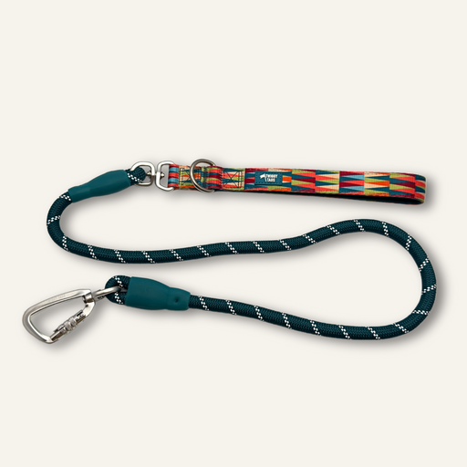TwiggyTags Horizon Rope Lead Elixir