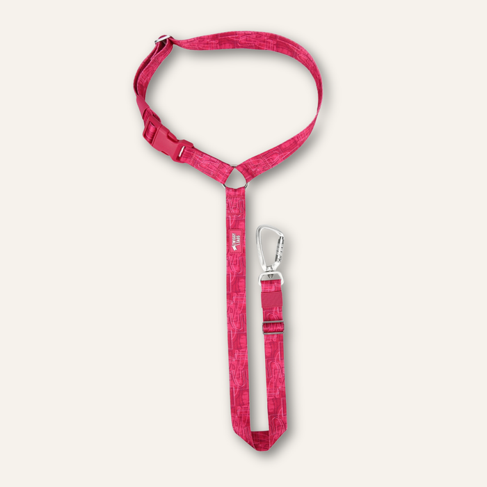Twiggy Tags Headrest Seatbelt