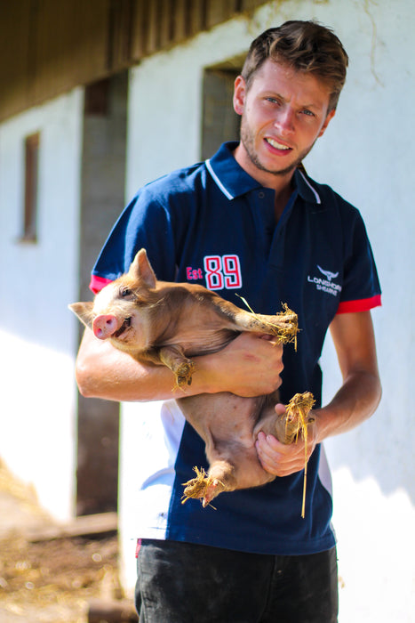 Longhorn Hereford Polo Navy