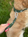 Twiggy Tags Tidal Grab Handle - Fern
