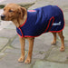 Sporting Saint Field Trial Dog Coat
