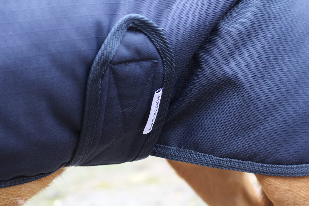 Sporting Saint Field Trial Dog Coat