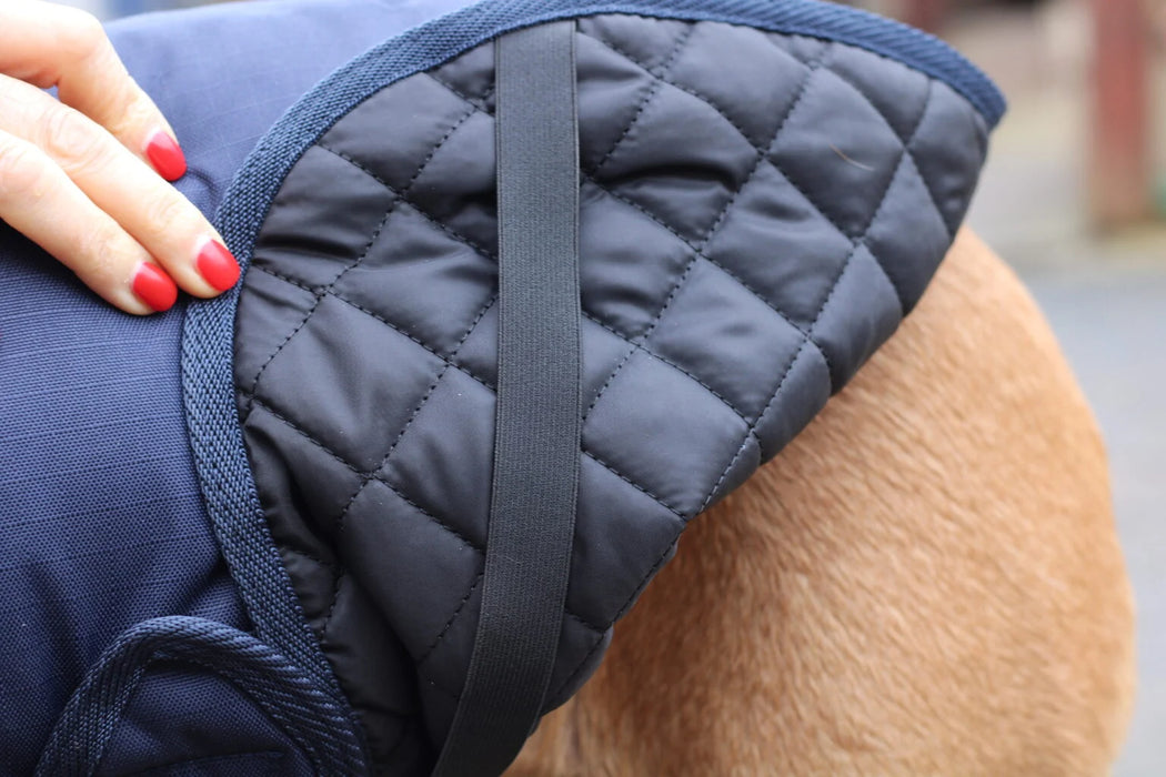 Sporting Saint Field Trial Dog Coat