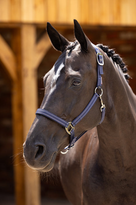 LeMieux Essential Yard Headcollar Navy
