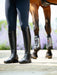 LeMieux Field Riding Boot Regular Black Regular
