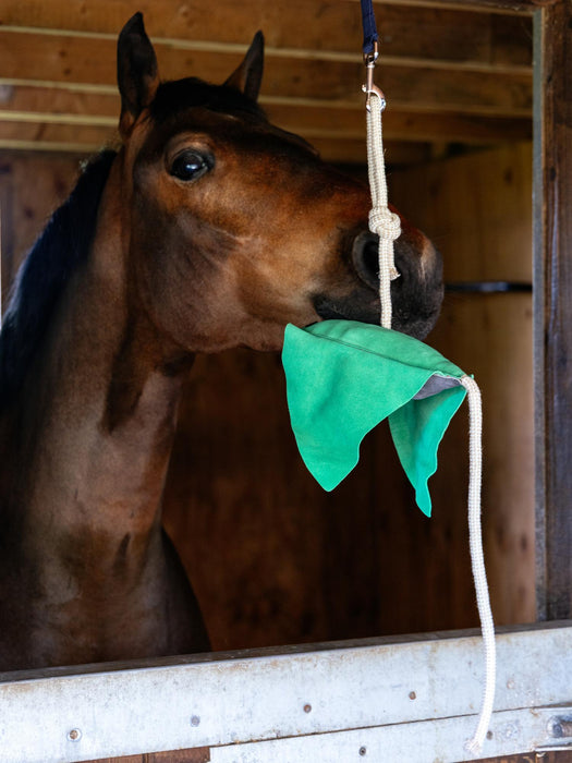 LeMieux Horse Toy Stingray