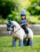 LeMieux Toy Rider Olivia
