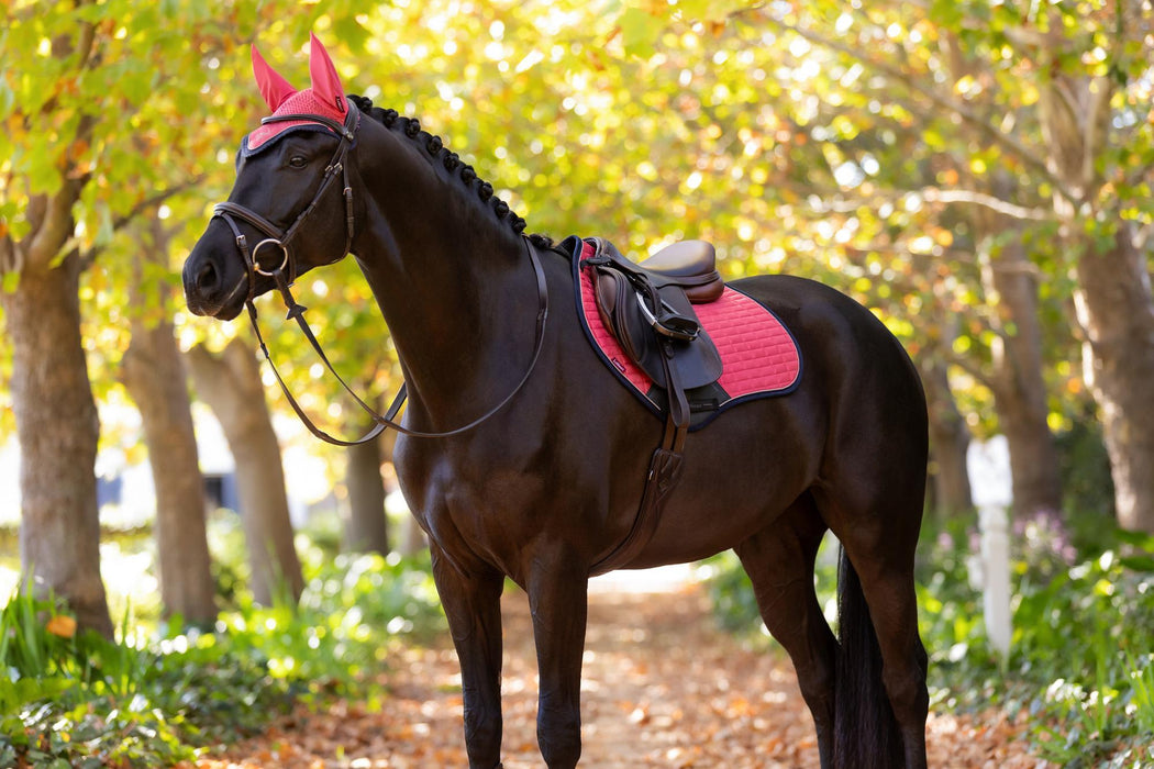 LeMieux Classic Fly Hood Cranberry