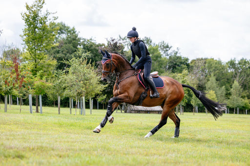 LeMieux Suede Close Contact Square Navy & Cranberry