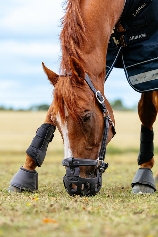 LeMieux Norma Grazing Muzzle Black