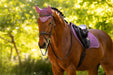LeMieux Classic Fly Hood Mallow