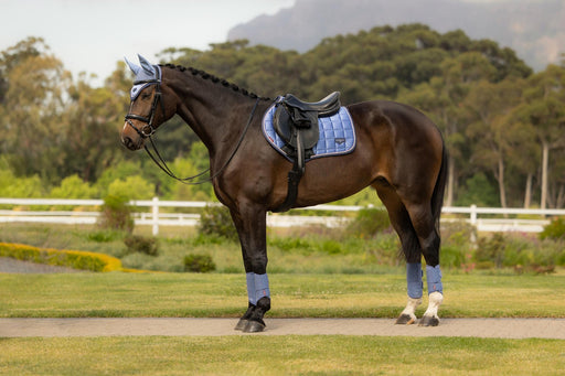 LeMieux Loire Close Contact Square Powder Blue