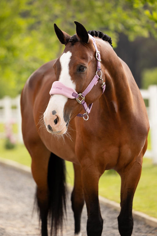 LeMieux Vogue Headcollar & Lead Rope Mallow