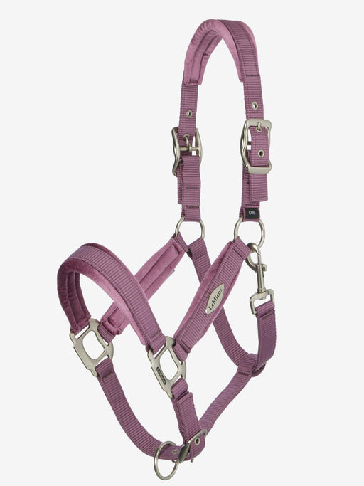 LeMieux Versailles Headcollar Mallow