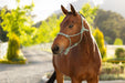 LeMieux Rope Halter Macaron