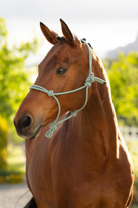 LeMieux Rope Halter Macaron