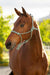 LeMieux Rope Halter Macaron