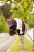 LeMieux Hobby Horse Fly Hood Mallow