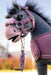 LeMieux Toy Pony Vogue Head Collar & Lead Rope Mallow
