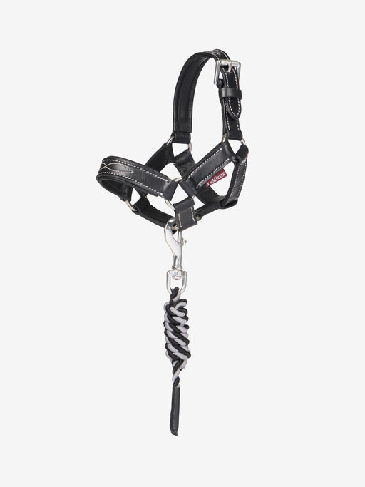LeMieux Toy Pony Leather Head Collar & Lead RopeBlack