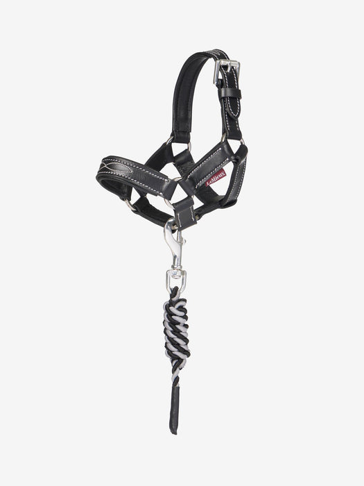 LeMieux Toy Pony Leather Head Collar & Lead RopeBlack