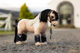 LeMieux Toy Pony Toby