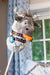 LeMieux Disney Hobby Horse Sven