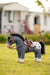 LeMieux Toy Pony Western Pad Blossom