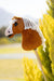  LeMieux Hobby Horse Lite Sundance (Mini)