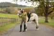 LeMieux Suede GP Square Gooseberry