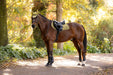 LeMieux Loire Classic Close Contact Square Gooseberry
