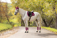 LeMieux Loire Classic GP Square Blackberry