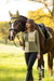 LeMieux Harlequin Rugby Shirt Willow & Pear