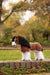 LeMieux Toy Pony Titan