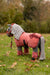LeMieux Toy Pony Rug Spiced Earth