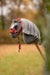 LeMieux Toy Pony Vogue Headcollar & Leadrope Spiced Earth