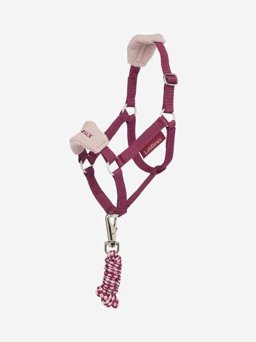LeMieux Hobby Horse Blackberry Vogue Headcollar & Leadrope