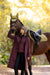 LeMieux Erin Waterproof Padded Coat Bramble